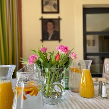 Guest house Diva Kacica Restaurant & Pansion 3*