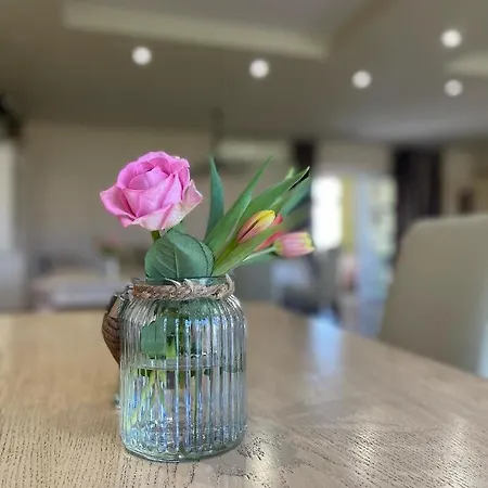 בית הארחה Diva Kacica Restaurant & Pansion Komárno