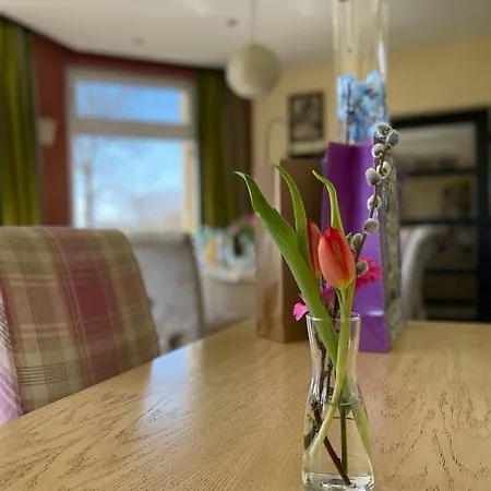 Diva Kacica Restaurant & Pansion