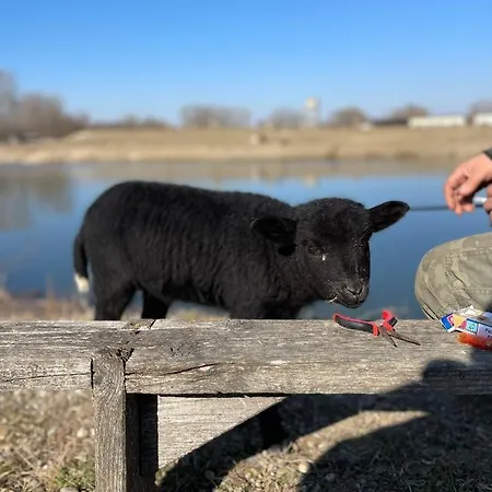 Diva Kacica Restaurant & Pansion Pensjonat 3*