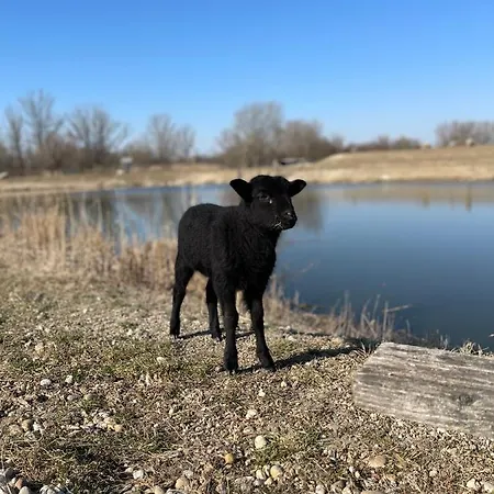 Diva Kacica Restaurant & Pansion בית הארחה 3*