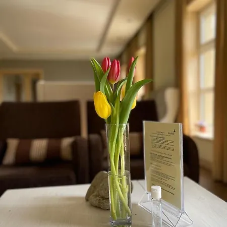 ゲストハウス Diva Kacica Restaurant & Pansion 3*