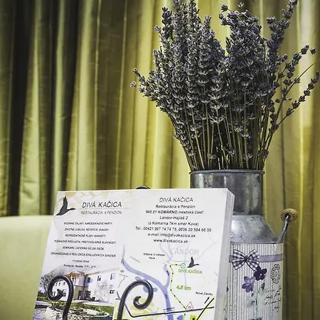 Diva Kacica Restaurant & Pansion 3* Komárno