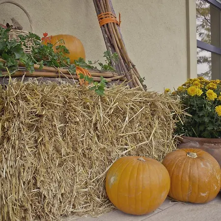 ゲストハウス Diva Kacica Restaurant & Pansion