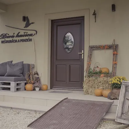 Divá Kačica Restaurant&pansion Komárno