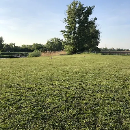 Diva Kacica Restaurant & Pansion 3* Komárno