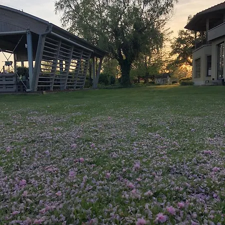 Diva Kacica Restaurant & Pansion Pensjonat Komárno